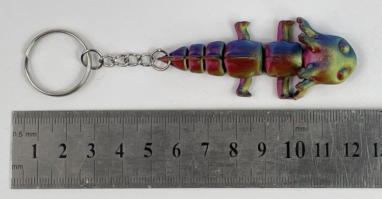 3907.jpg