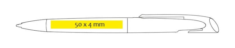 piaza bass.jpg