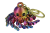 IMG_0007.png