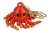 IMG_0006.png