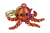 IMG_0004.png