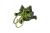 IMG_0038.png