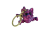 IMG_0037.png