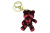 IMG_0031.png
