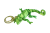 IMG_0005 (1).png