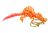 IMG_0020 (1).png