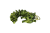 IMG_0035 (1).png